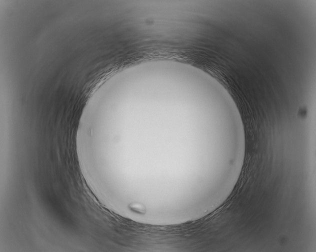 X0000116270579200911301019
