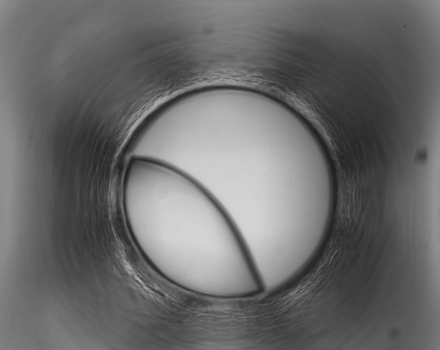X0000116270580200911301019