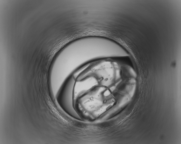 X0000116270581200911301019