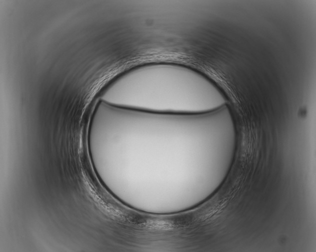 X0000116270582200911301019