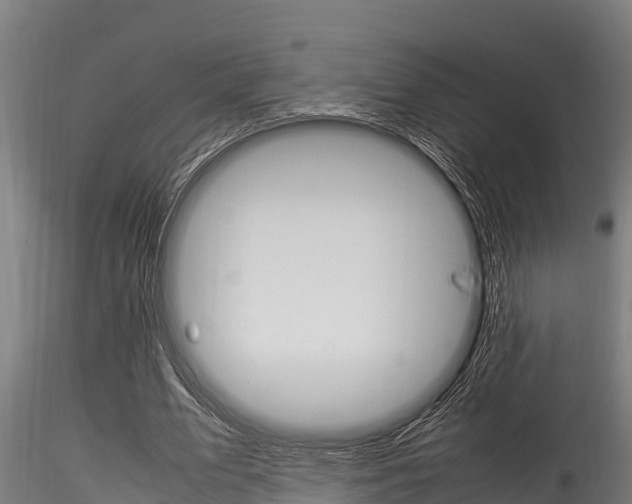 X0000116270583200911301019