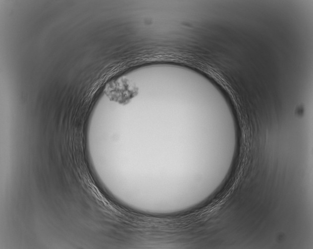 X0000116270585200911301019