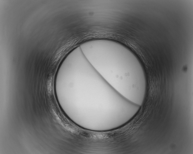 X0000116270586200911301019