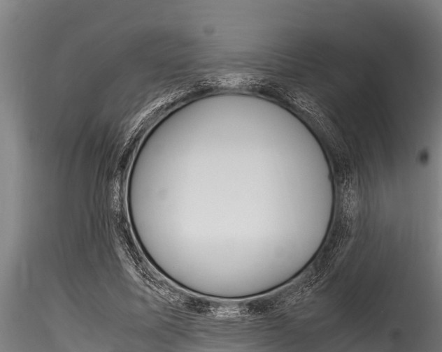 X0000116270587200911301019