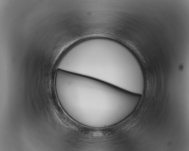 X0000116270588200911301019