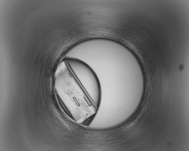 X0000116270589200911301019