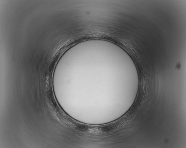 X0000116270591200911301018