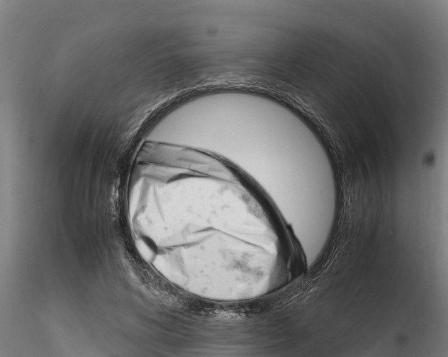 X0000116270592200911301018