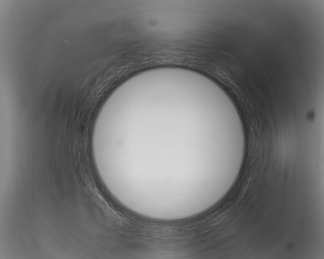 X0000116270593200911301018