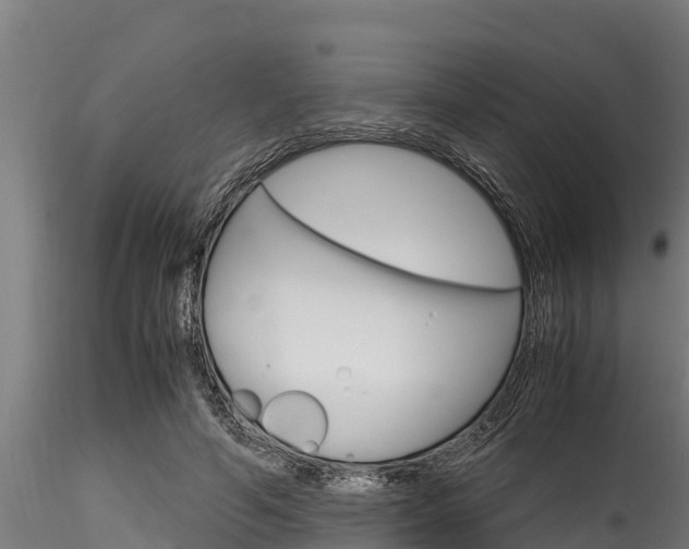 X0000116270594200911301018