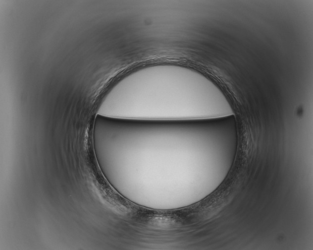 X0000116270596200911301018