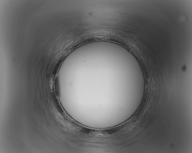 X0000116270597200911301018