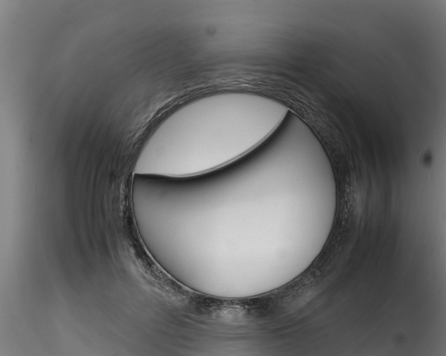 X0000116270600200911301018