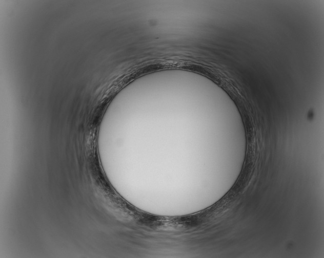X0000116270601200911301018