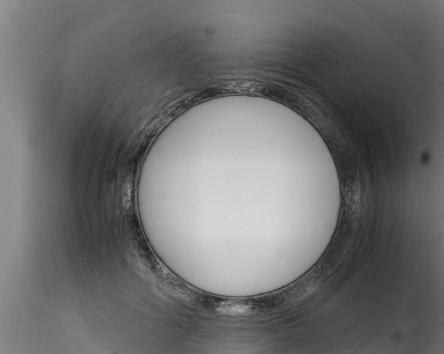 X0000116270602200911301018