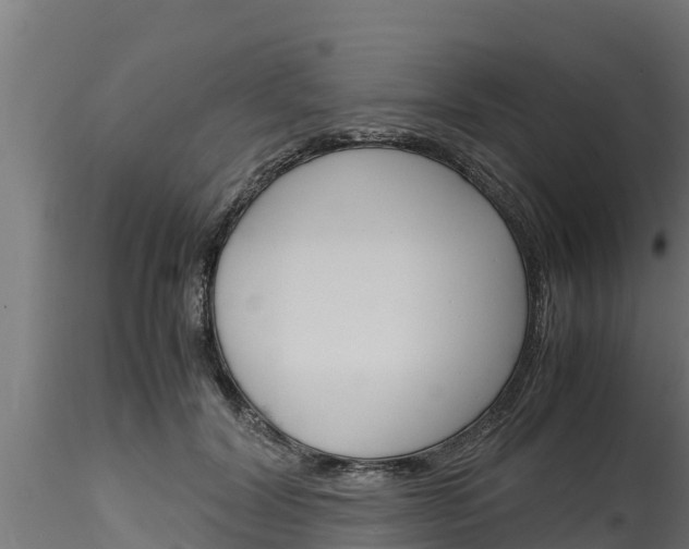 X0000116270604200911301018