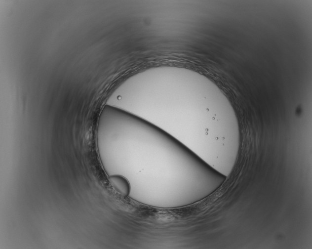 X0000116270608200911301018