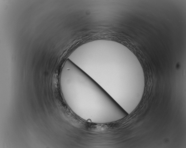 X0000116270612200911301018