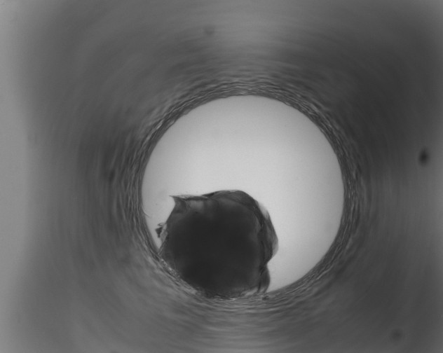 X0000116270613200911301018
