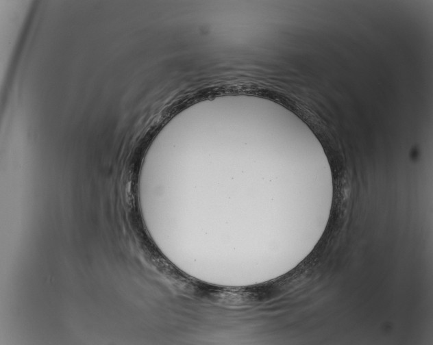 X0000116270615200911301018