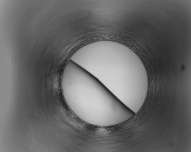 X0000116270616200911301018