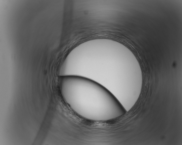 X0000116270617200911301018