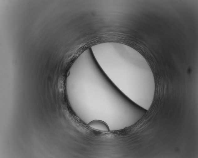 X0000116270620200911301018