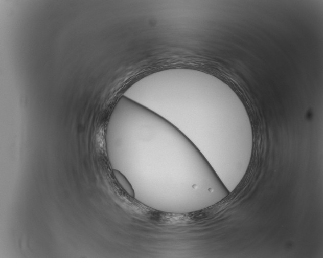X0000116270621200911301018