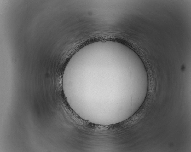 X0000116270624200911301018