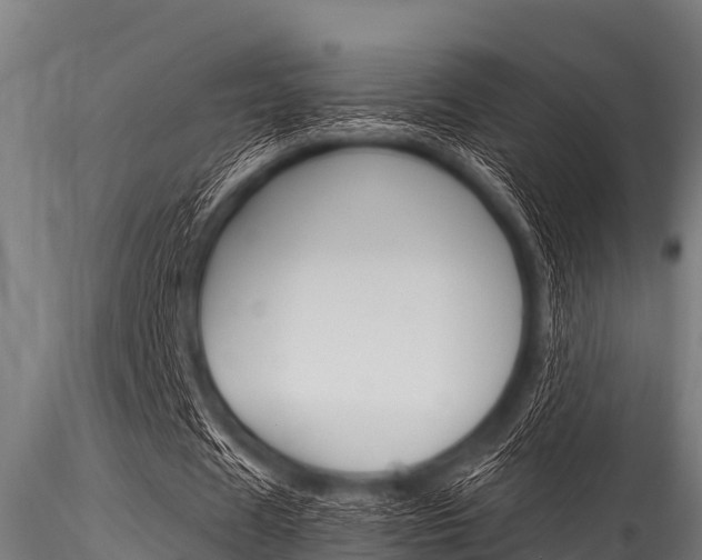X0000116270625200911301017
