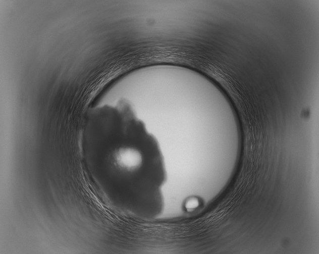 X0000116270626200911301017