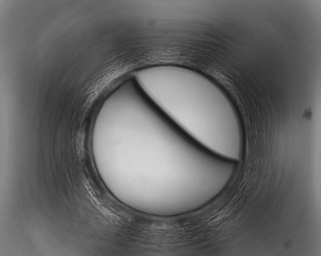 X0000116270627200911301017