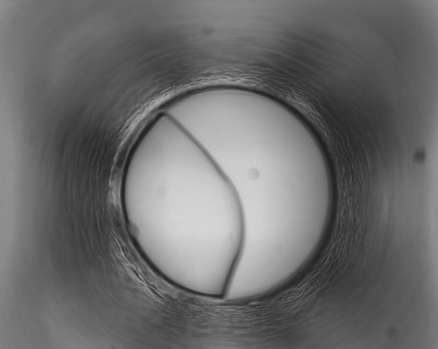 X0000116270628200911301017