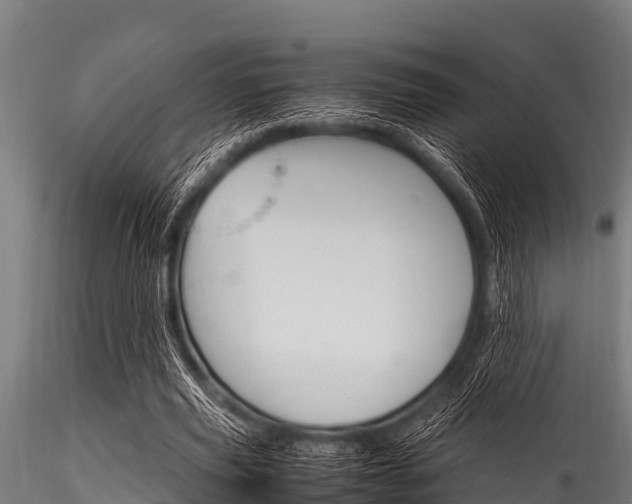 X0000116270629200911301017