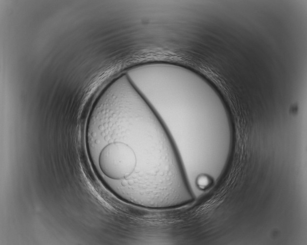 X0000116270630200911301017