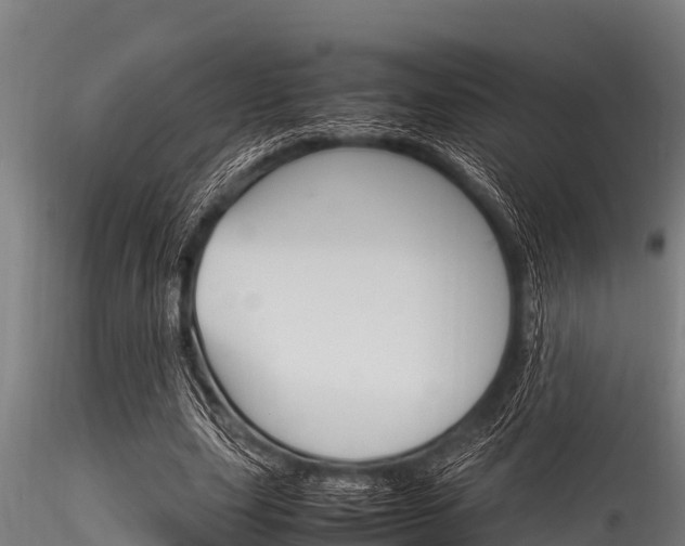 X0000116270631200911301017