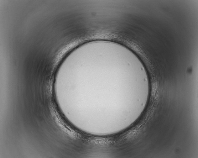X0000116270632200911301017