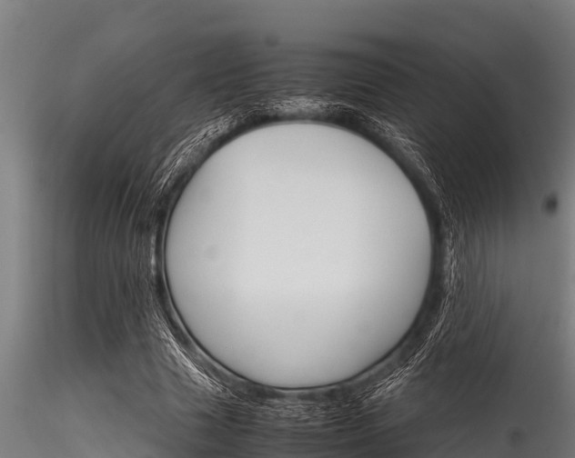 X0000116270633200911301017
