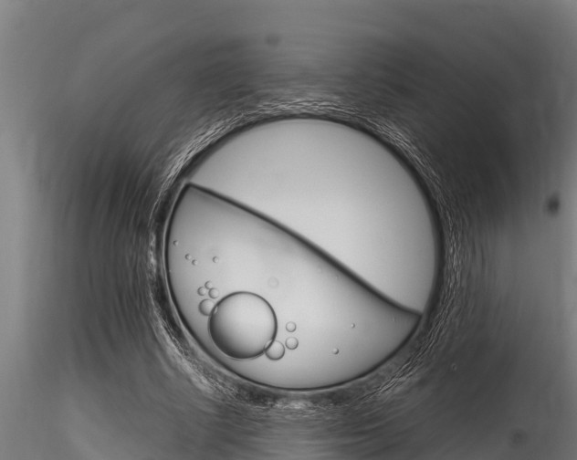 X0000116270634200911301017
