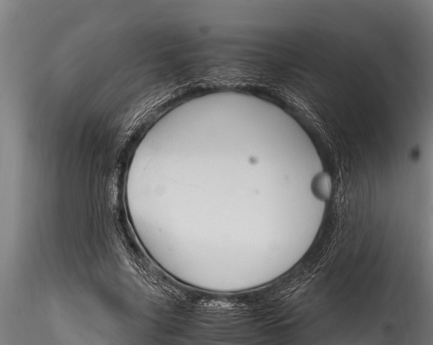 X0000116270635200911301017