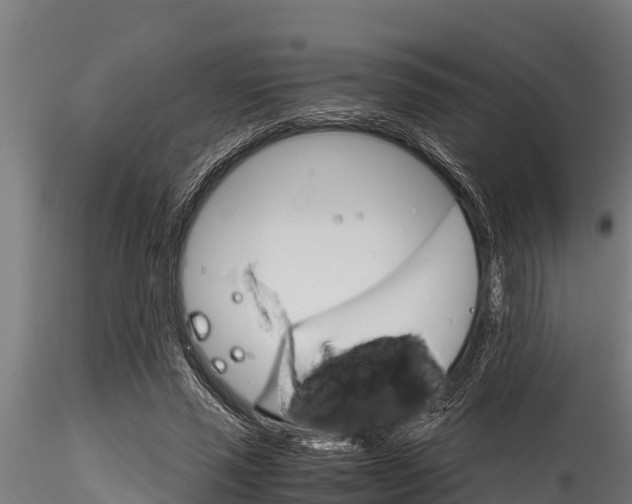 X0000116270637200911301017