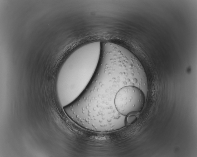 X0000116270639200911301017