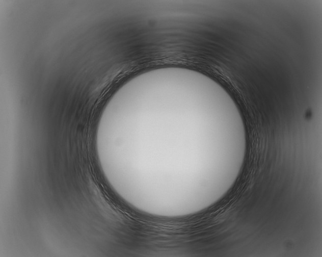 X0000116270643200911301017