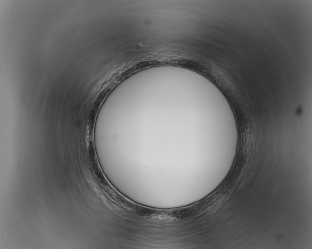 X0000116270644200911301017