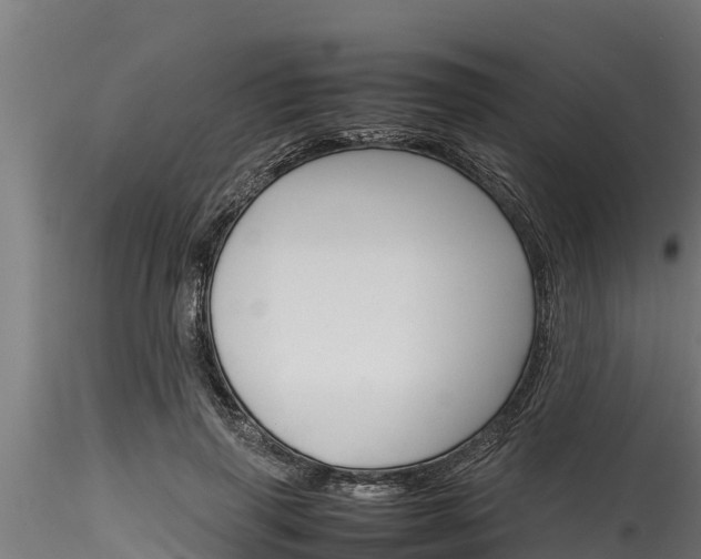 X0000116270645200911301017