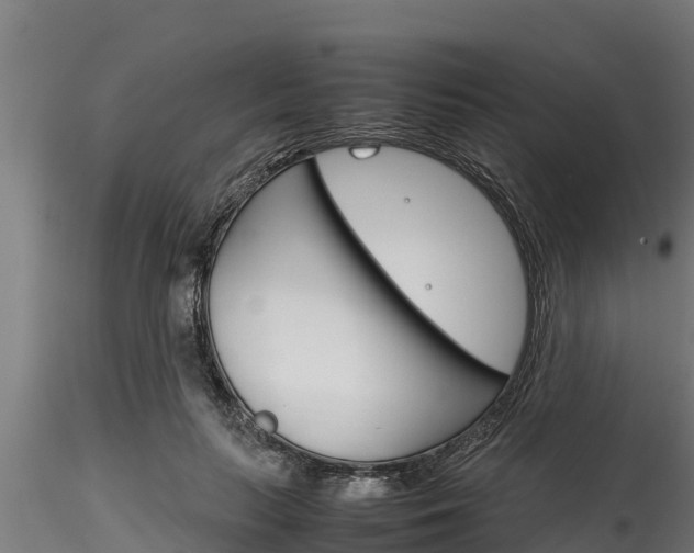 X0000116270647200911301017