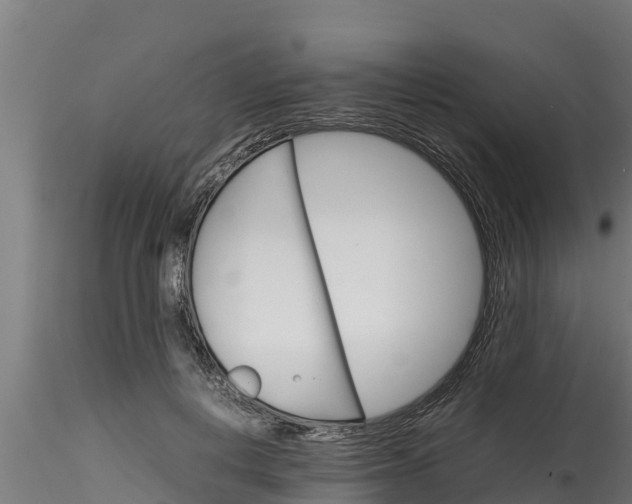 X0000116270648200911301017