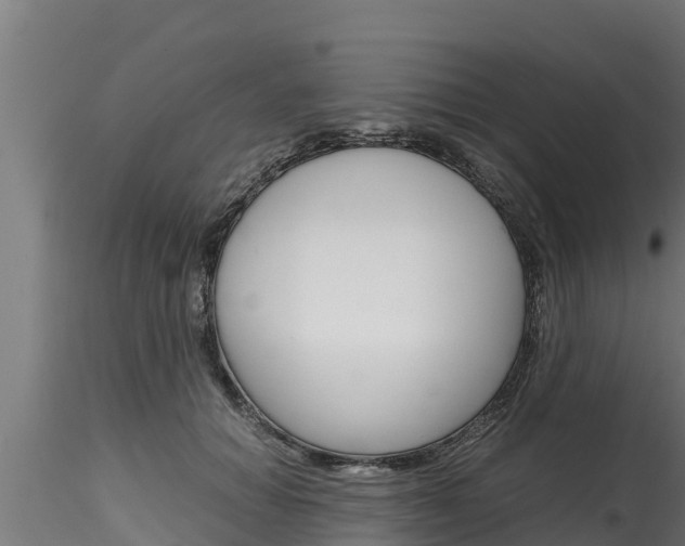 X0000116270654200911301017