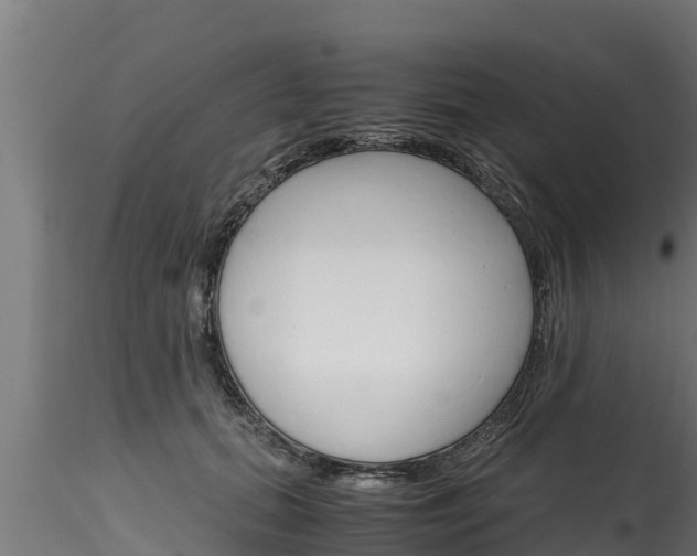 X0000116270655200911301017