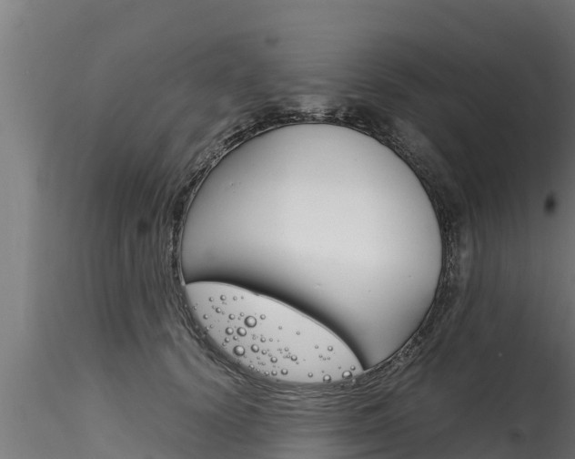 X0000116270656200911301017